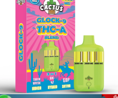 Cactus Labs Glock 9 Disposable Vape 9G Price In Quetta	-03174875200