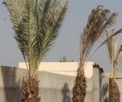 Fairy Valley Plots Land on installments near DHA & Bahria Town Karachi